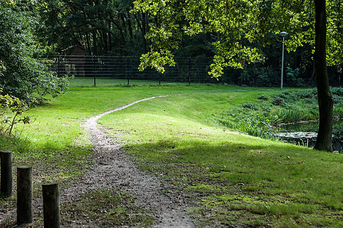 Olifanten houden niet van omlopen. Veel mensen in Wolluk ook niet. Met mooie paadjes als gevolg.